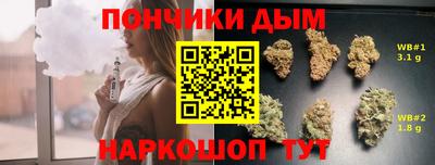 стаф Кинель