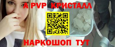 стаф Кинель