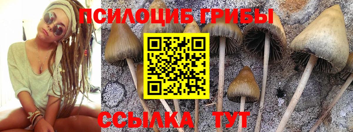 Галлюциногенные грибы Magic Shrooms Алушта