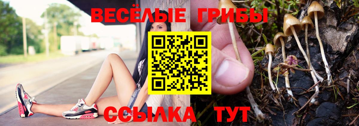 Псилоцибиновые грибы MAGIC MUSHROOMS  Вход с VPN  Галлюциногенные грибы Magic Shrooms  Алушта 